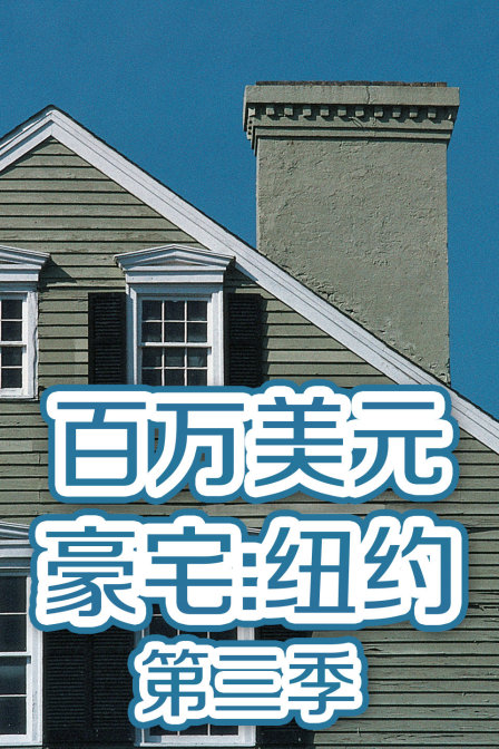 百万美元豪宅:纽约 第三季封面图