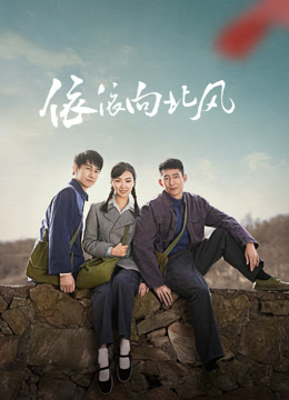 依依向北风封面图