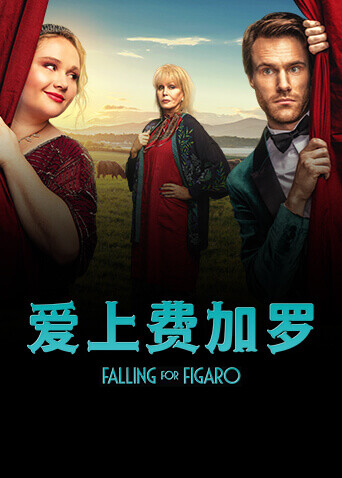 爱上费加罗封面图