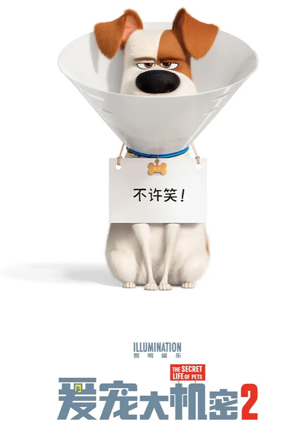 爱宠大机密2（普通话）封面图