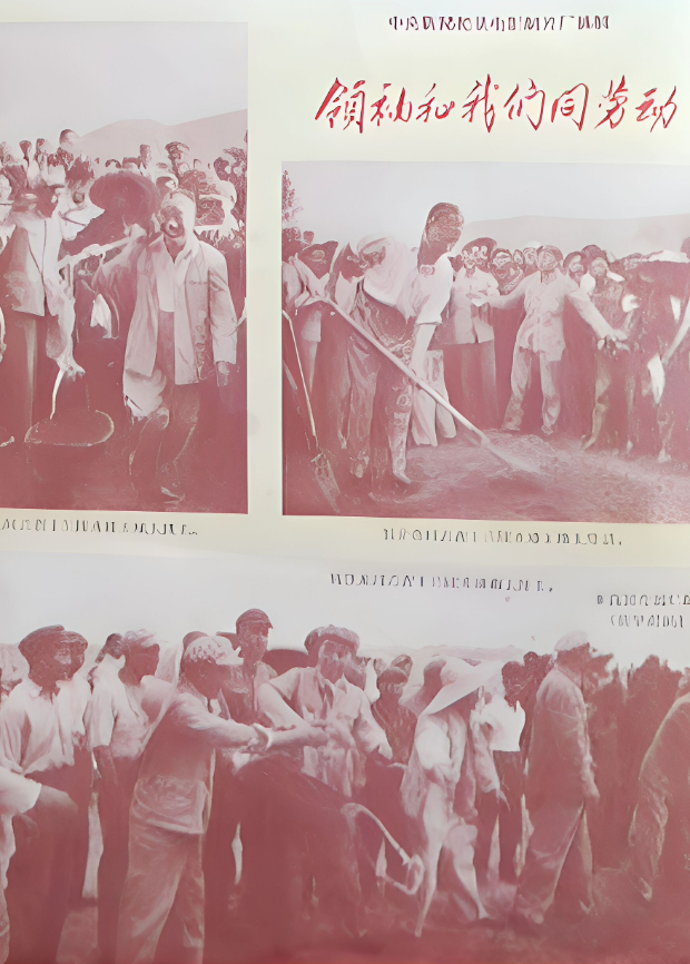 领袖和我们同劳动封面图