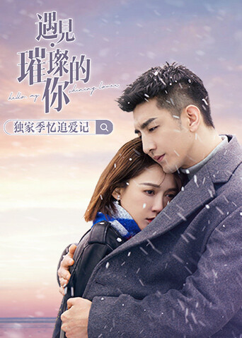 遇见璀璨的你独家季忆追爱记封面图