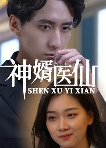神婿医仙封面图