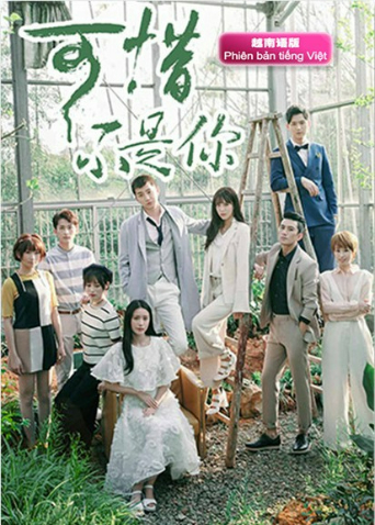 可惜不是你越南语版封面图