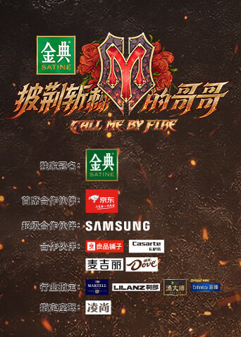 披荆斩棘的哥哥封面图