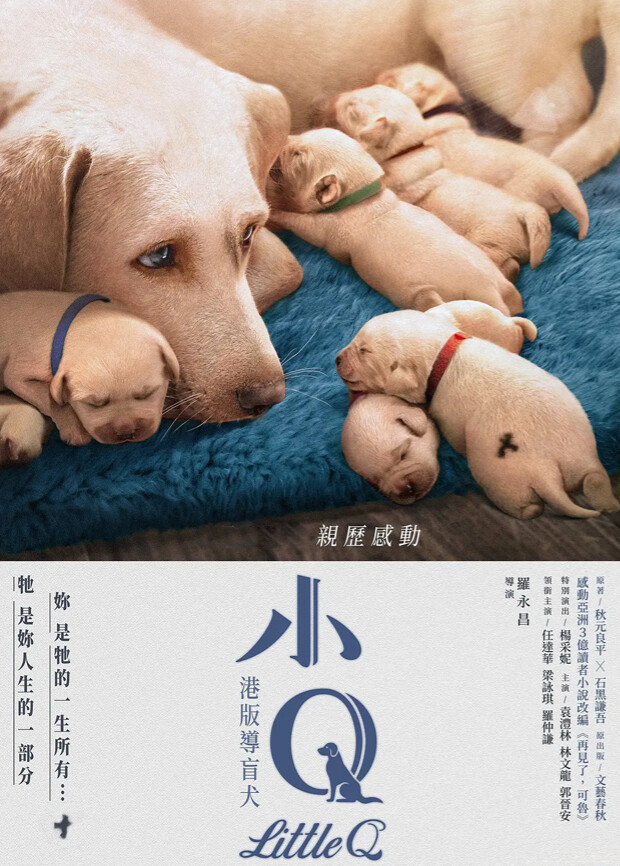 小Q 粤语版封面图