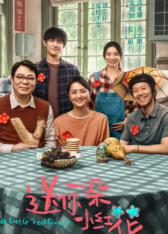 送你一朵小红花 纪录片封面图
