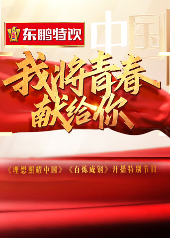 我将青春献给你封面图