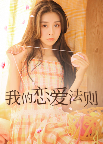 我的恋爱法则封面图