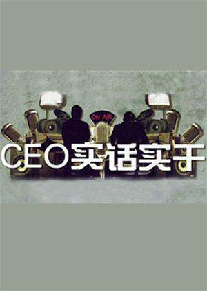 CEO实话实干 2011封面图