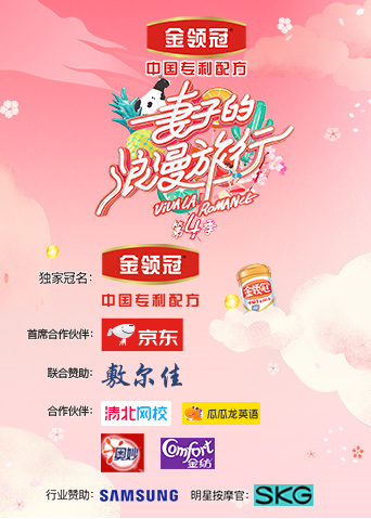 妻子的浪漫旅行第四季封面图