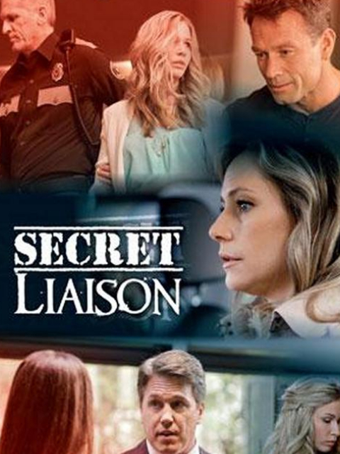 秘密联络封面图