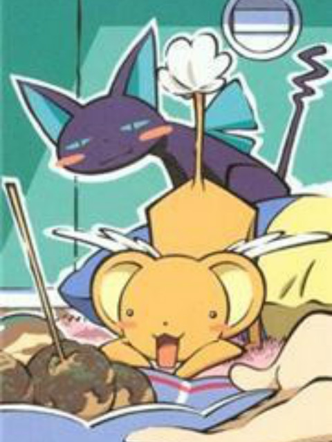 包在小可身上封面图