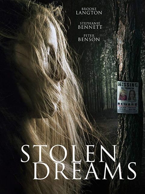 失落的梦封面图