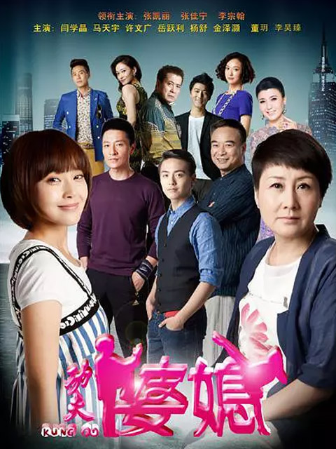 功夫婆媳封面图