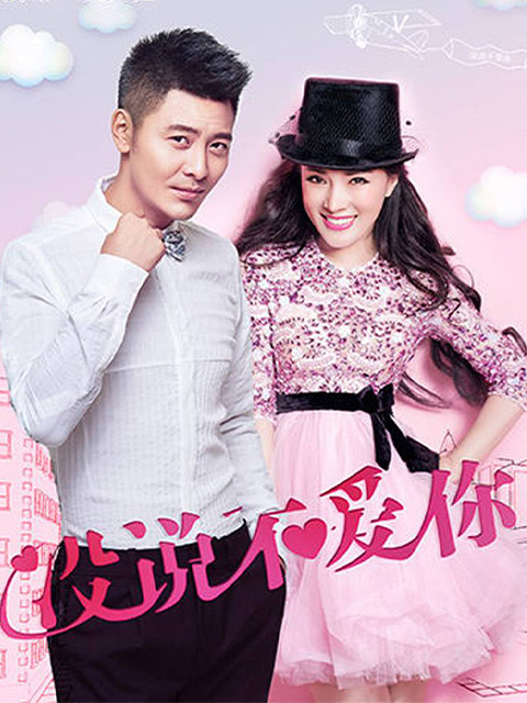 没说不爱你封面图