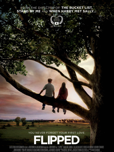 怦然心动封面图