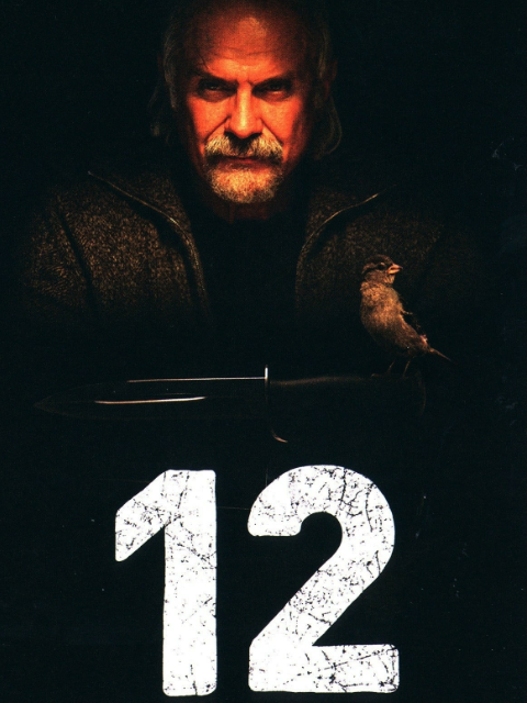 十二怒汉：大审判封面图