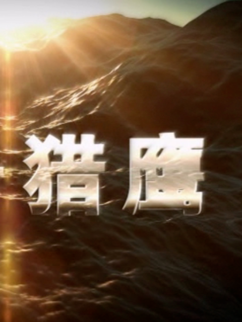 代号猎鹰封面图