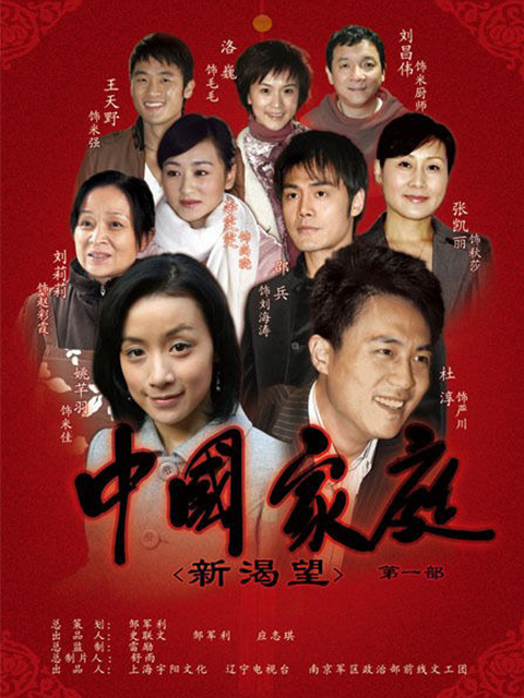 中国家庭之新渴望封面图