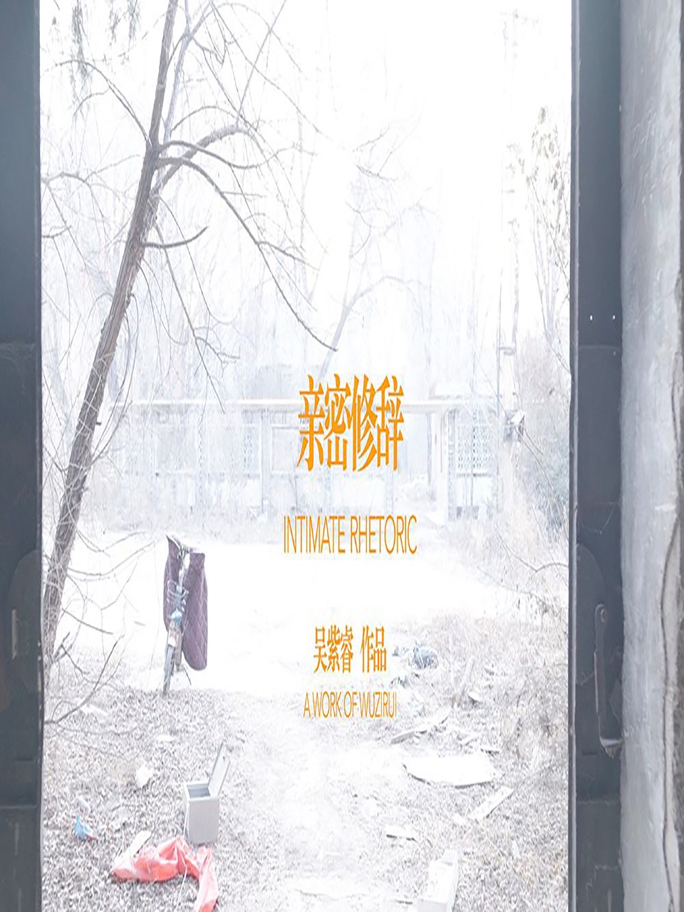 亲密修辞封面图