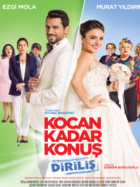 丈夫因素2封面图