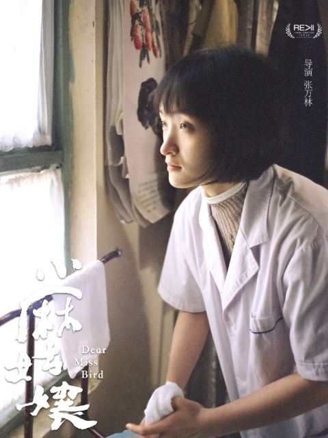 小麻姑娘封面图