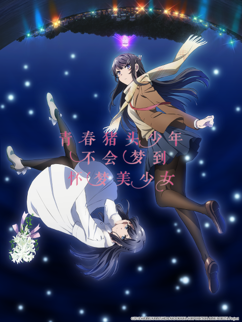 青春猪头少年不会梦到怀梦美少女封面图