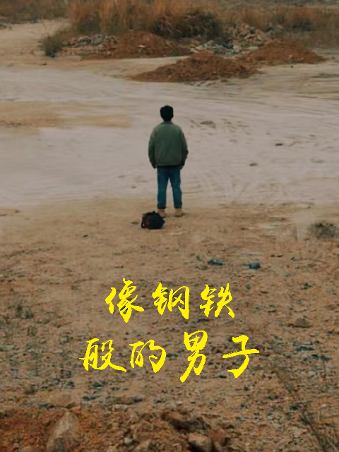 像钢铁般的男子封面图