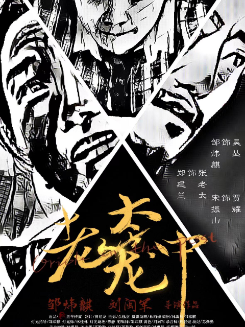 老太笼中封面图