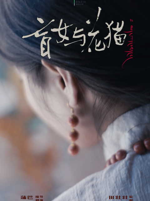 盲女与花猫封面图