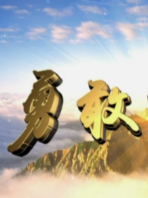 勇敢的心3封面图