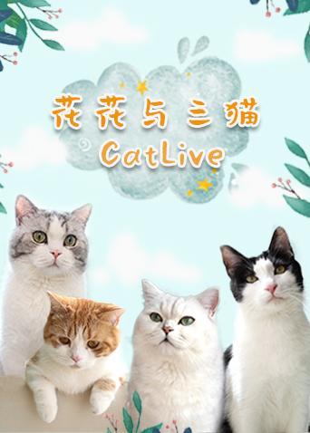 花花与三猫CatLive 2020封面图