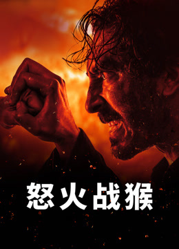怒火战猴封面图