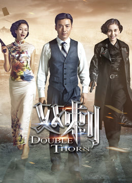 双刺DVD版封面图