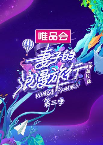 妻子的浪漫旅行3 VIP加长版封面图