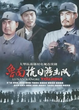 鲁南抗日游击队封面图