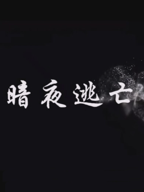 暗夜逃亡封面图