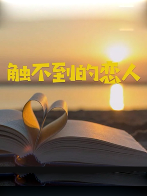 触不到的恋人封面图