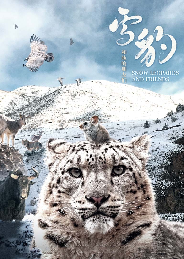 雪豹和她的朋友们封面图