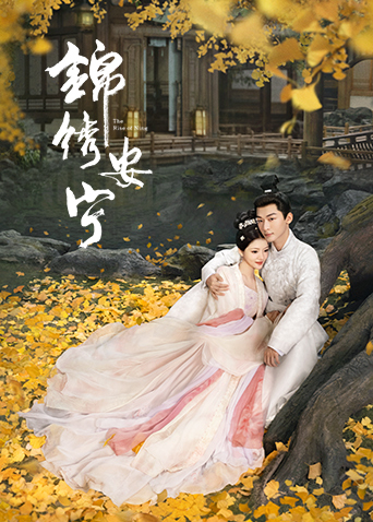 锦绣安宁封面图