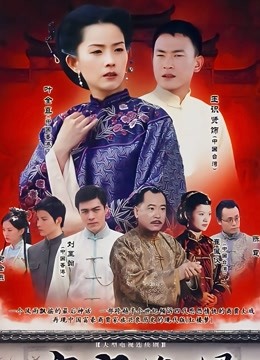 辛家媳妇封面图