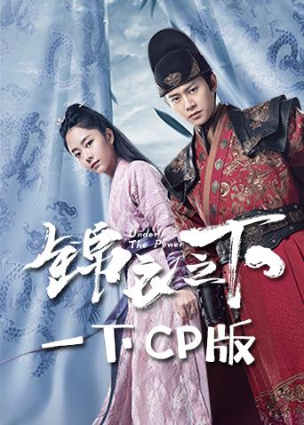 锦衣之下 一下CP版封面图