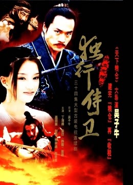 热血忠魂之独行侍卫封面图