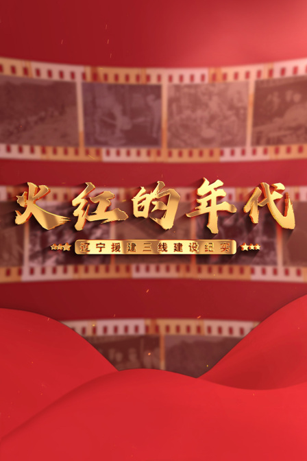 火红的年代封面图