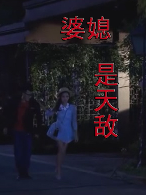 婆媳是天敌封面图