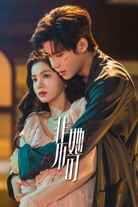 非她不可封面图