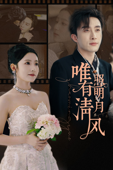 唯有清风照明月封面图