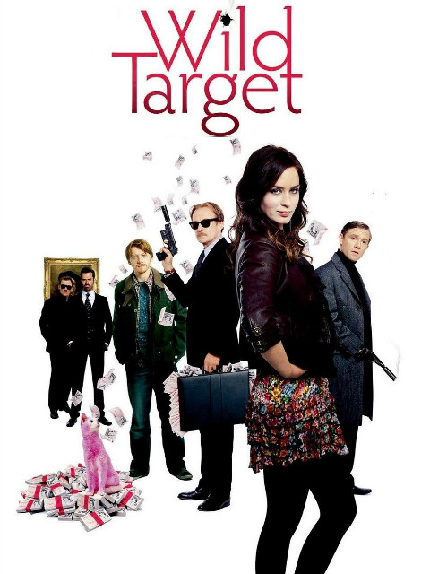 狂野目标封面图