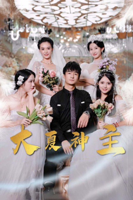 大夏神主封面图